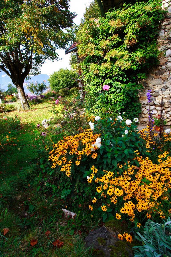 Oranje bloemen in een tuin royalty-vrije stock foto's