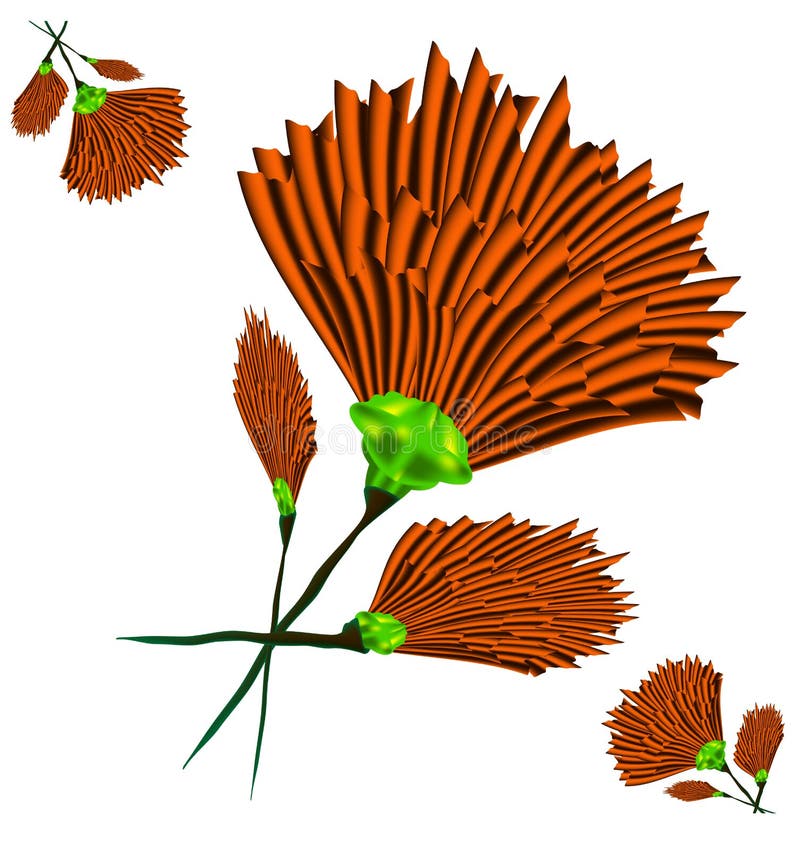 Oranje kruidnagel vector illustratie Oranje kruidnagel vector illustratie