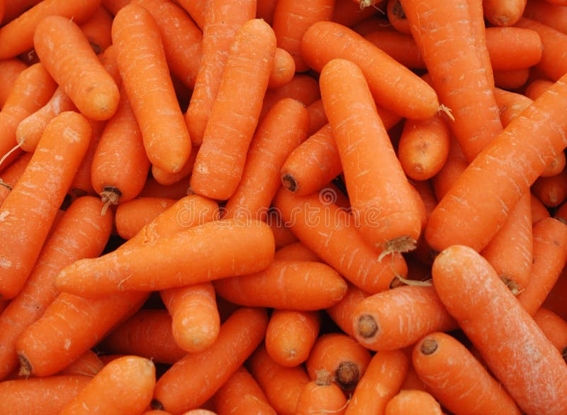 Closeup of baby orange carrots in a pile. Closeup of baby orange carrots in a pile.