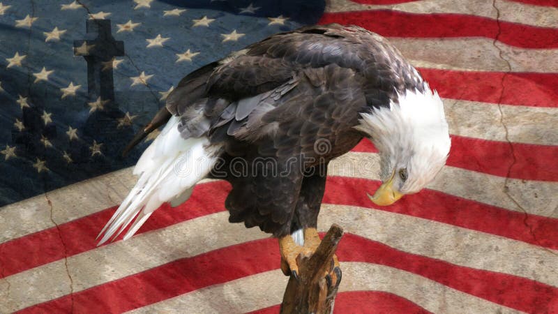 Oração do Estados Unidos da América imagem de stock royalty free Oração do Estados Unidos da América imagem de stock royalty free