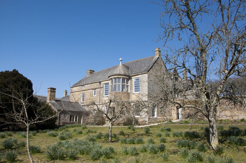 The orchard at Trerice