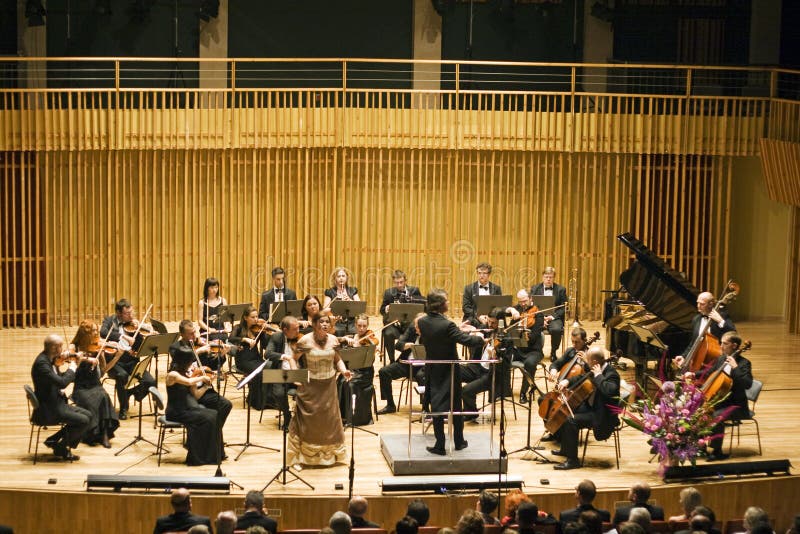 Orchestre de chambre image libre de droits Orchestre de chambre image libre de droits
