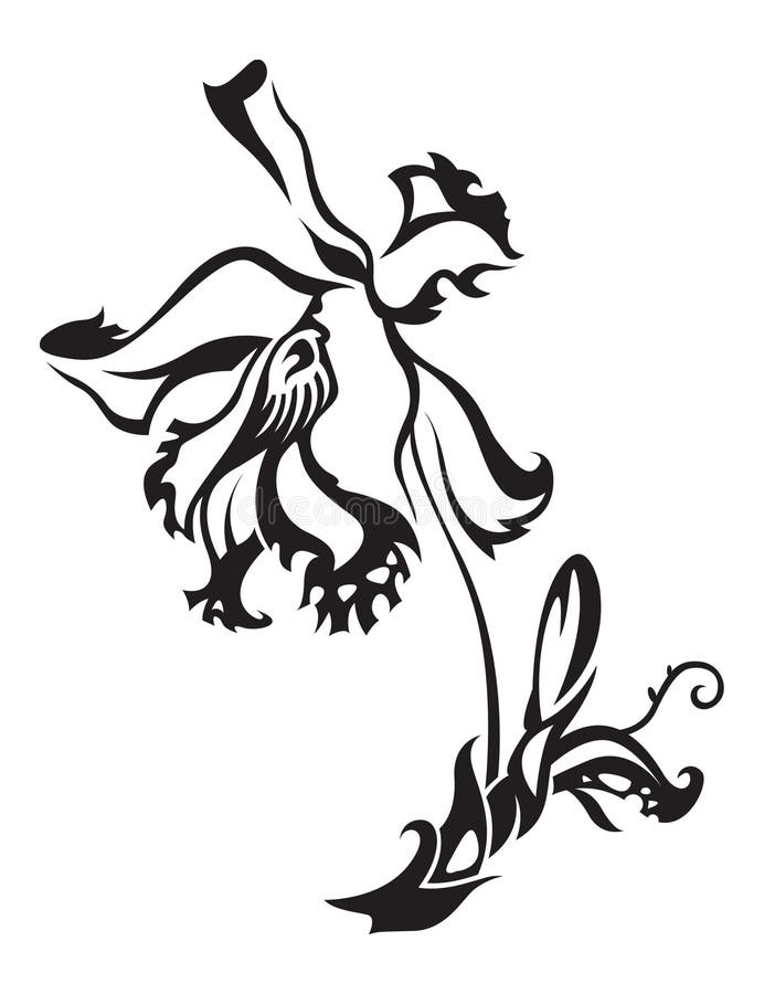 Orchid stock vector. Illustration of tattoo, flora, beautiful - 13739008
