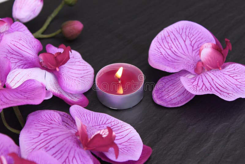 Orchid. Decoration with orchid and candle stock image