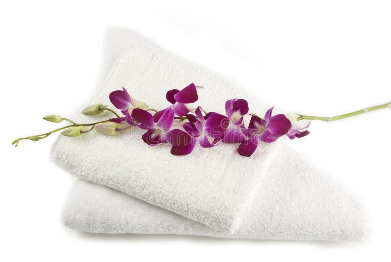 orchid στοκ φωτογραφία με δικαίωμα ελεύθερης χρήσης orchid στοκ φωτογραφία με δικαίωμα ελεύθερης χρήσης