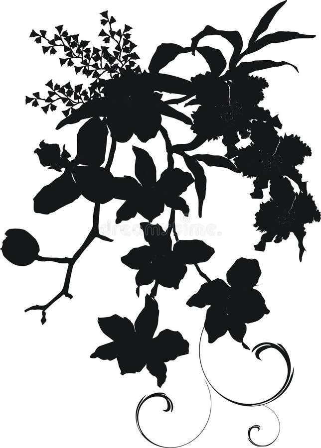 Download Orchid bouquet silhouette stock vector. Image of artwork ...