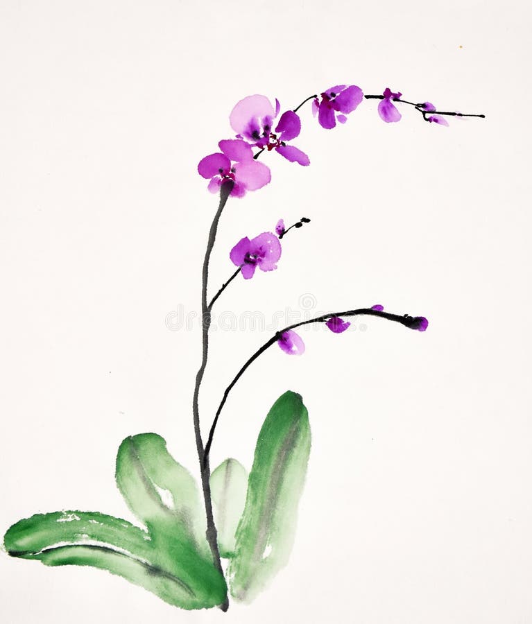 How to paint a simple orchid in Chinese ink - Artists & Illustrators