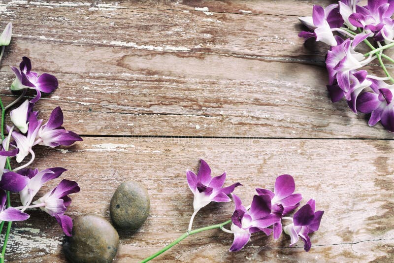 Orchid flower on wood stock photography Orchid flower on wood stock photography