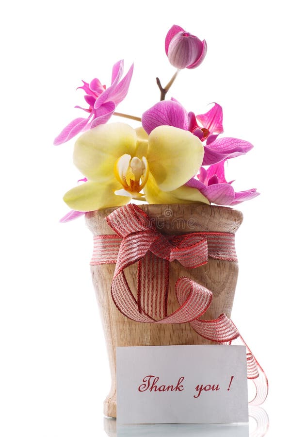 Orchid Flowers with Gratitude Stock Photo Image of flora, nature