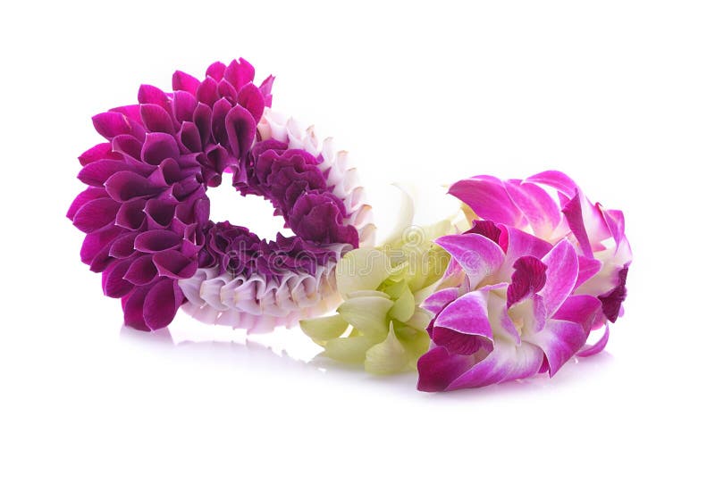 Orchid Garland stock photo. Image of ornamentation, pink - 35540938