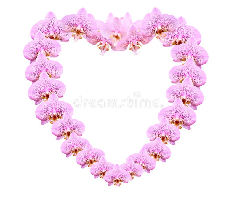 Orchid Heart