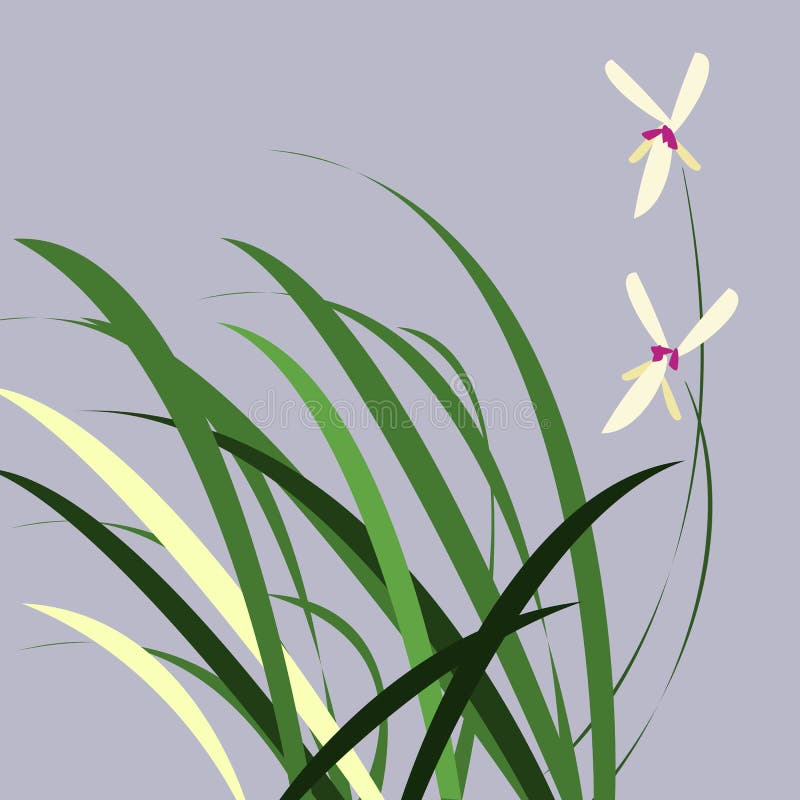 ORCHID WITH LEAVES