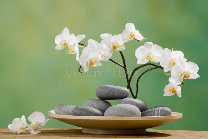 orchid spa πέτρες στοκ εικόνες orchid spa πέτρες στοκ εικόνες