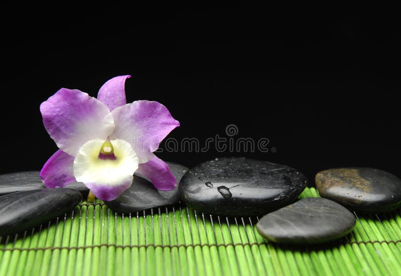 Orchid with zen ston stock photography Orchid with zen ston stock photography
