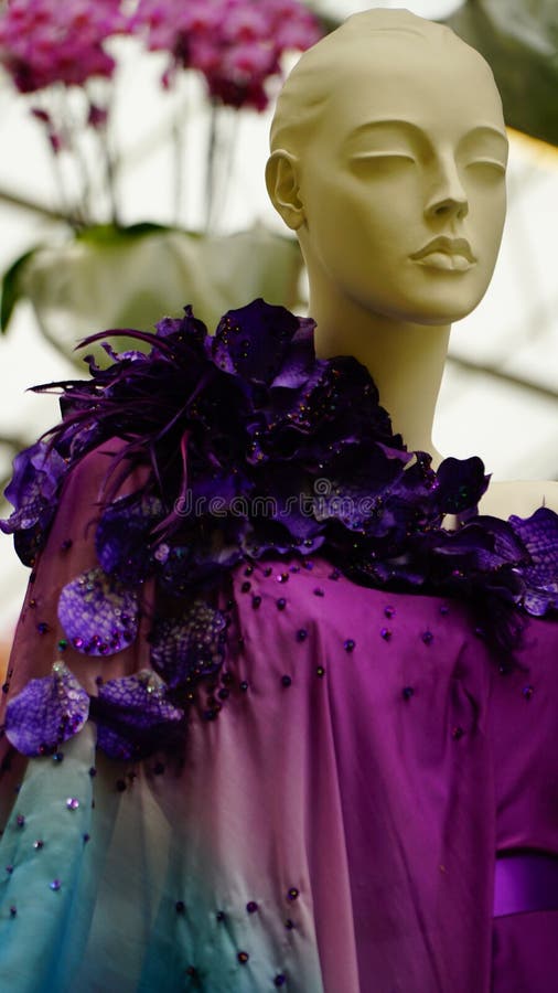 Orchidea kwitnie haute mody fotografia royalty free Orchidea kwitnie haute mody fotografia royalty free