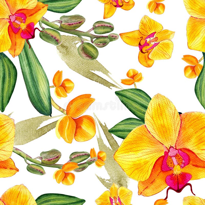 Orchidea senza saldatura. sfondo estivo floreale con foglie di palma tropicali fotografie stock