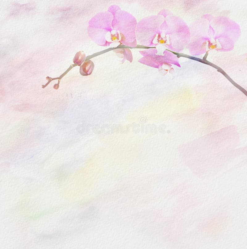 Art floral background with orchid. Art floral background with orchid.