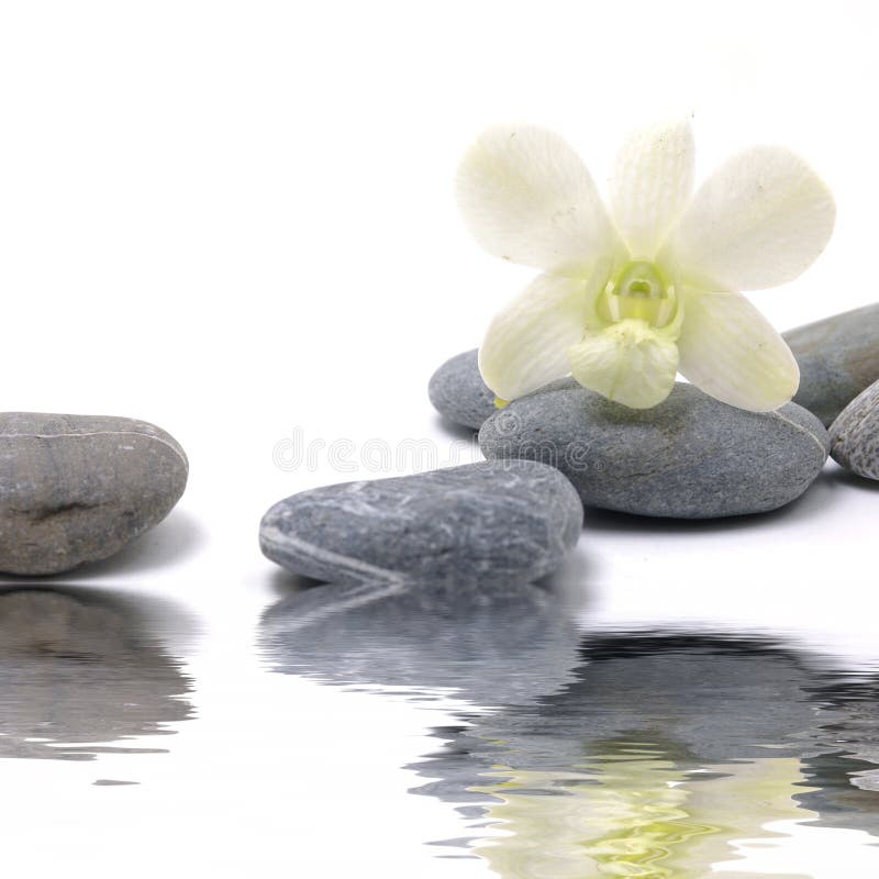 Reflection for balanced stones with white orchid. Reflection for balanced stones with white orchid