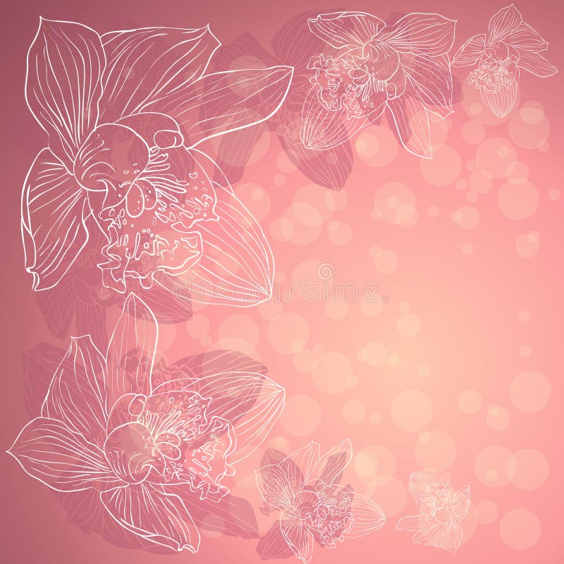 Orchids Background