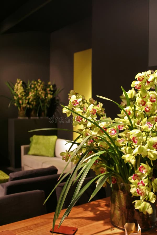 Orchids in interior