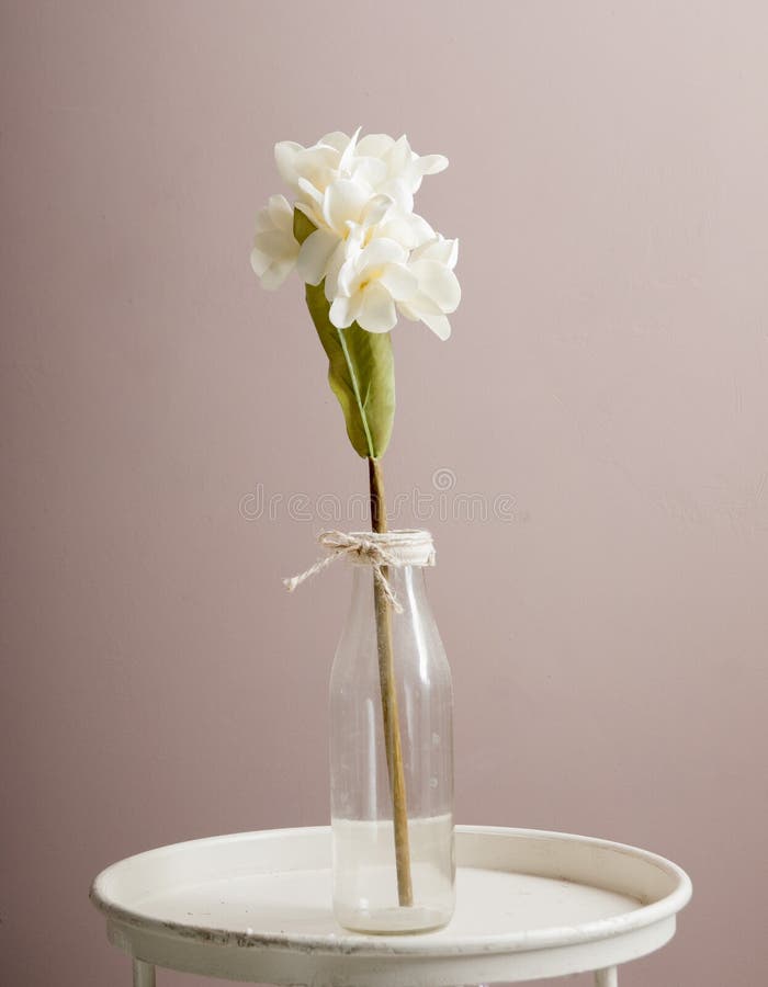 Orchidée blanche artificielle dans une bouteille en verre image stock Orchidée blanche artificielle dans une bouteille en verre image stock