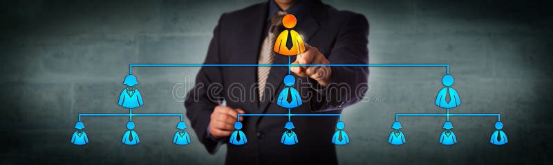 Ordföranden lyfter fram VD:n i organisationsschemat arkivbilder
