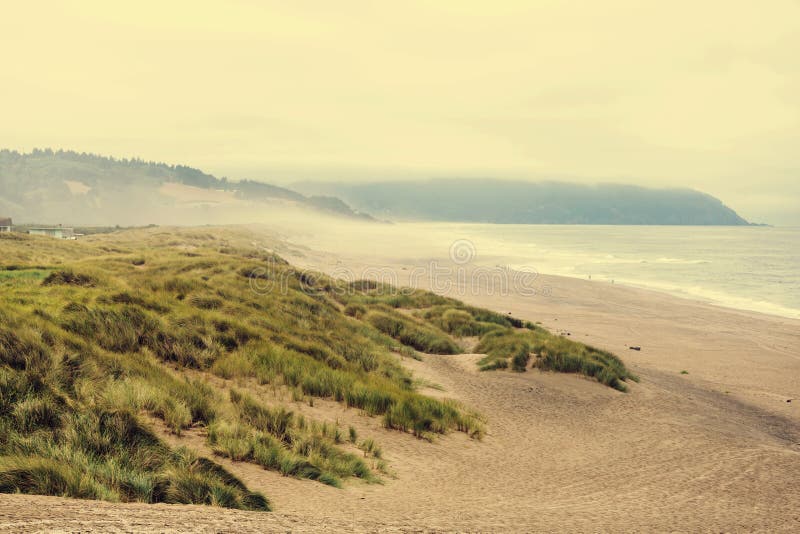 Oregon coast stock photo. Image of beach, park, morning 73867766