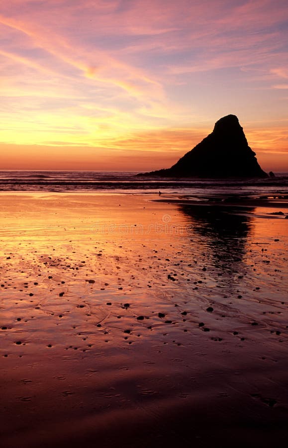 Oregon coast portraits stock image Oregon coast portraits stock image