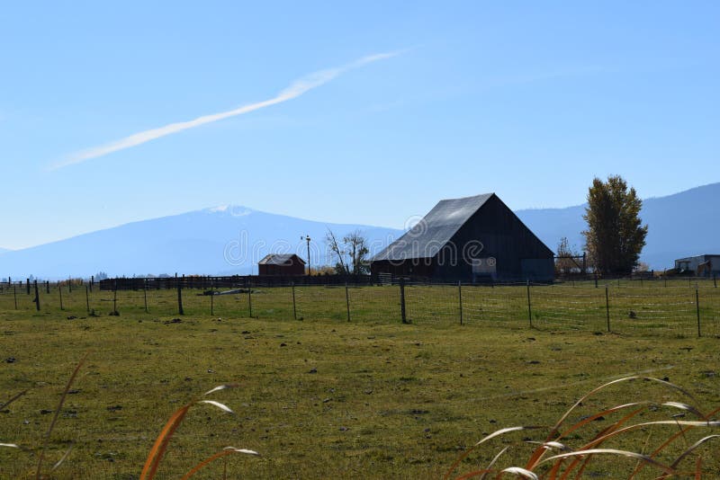 Oregon farm stock photo. Image of oregon, tree, fence 108744744