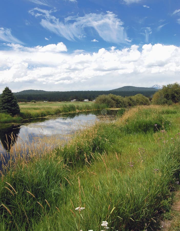 Oregon Meadow and Stream stock photo. Image of environment 2968154