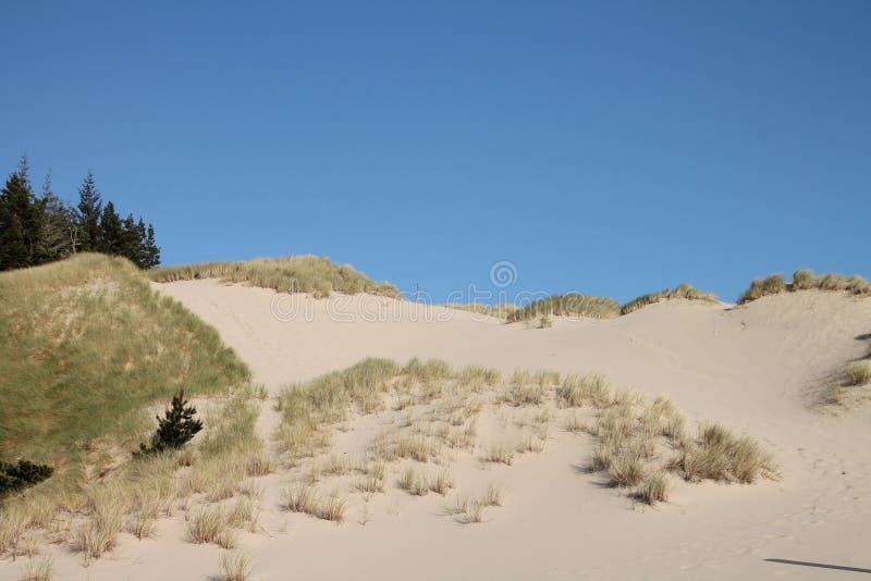 Oregon sand dunes