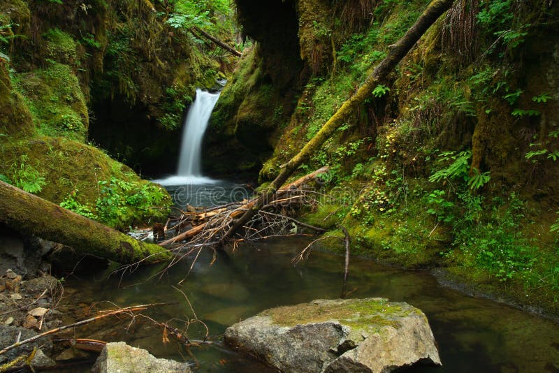 Oregon waterfall stock image