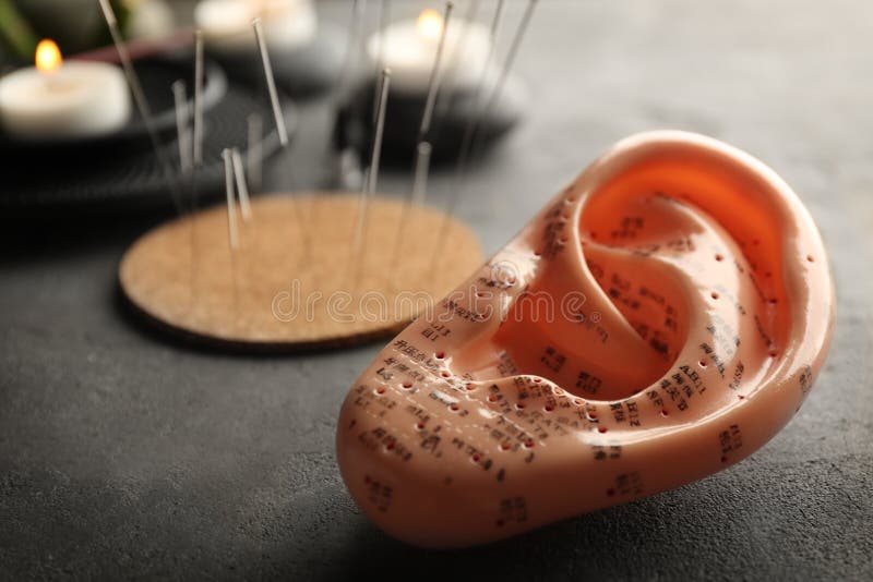 Oreille en plastique pour la pratique en matière d'acuponcture image stock Oreille en plastique pour la pratique en matière d'acuponcture image stock