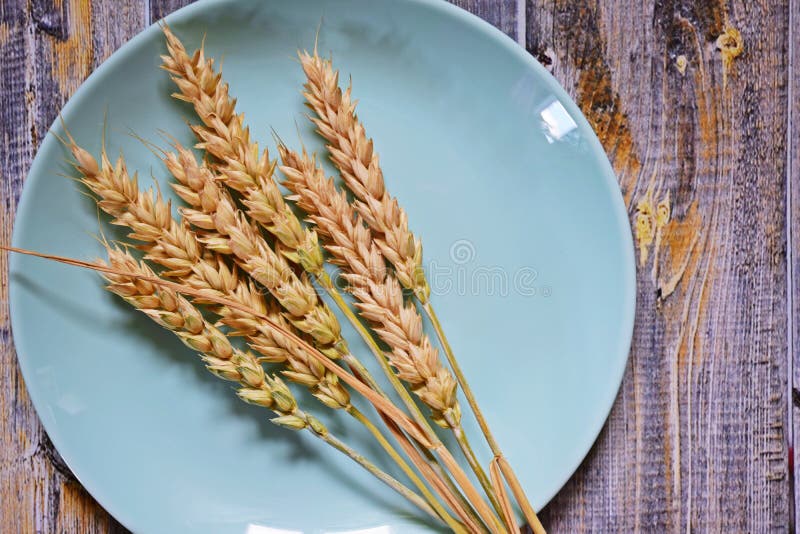 Orelhas maduras do trigo fotografia de stock Orelhas maduras do trigo fotografia de stock