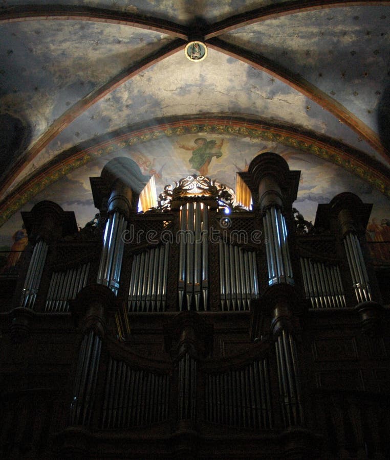 The organ