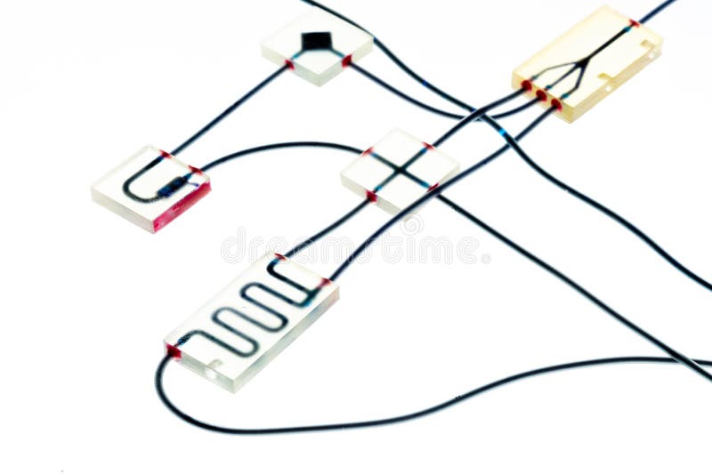 Organ-on-a-chip OOC - microfluidic device chip that simulates biological organs that is type of artificial organ. Prototype of