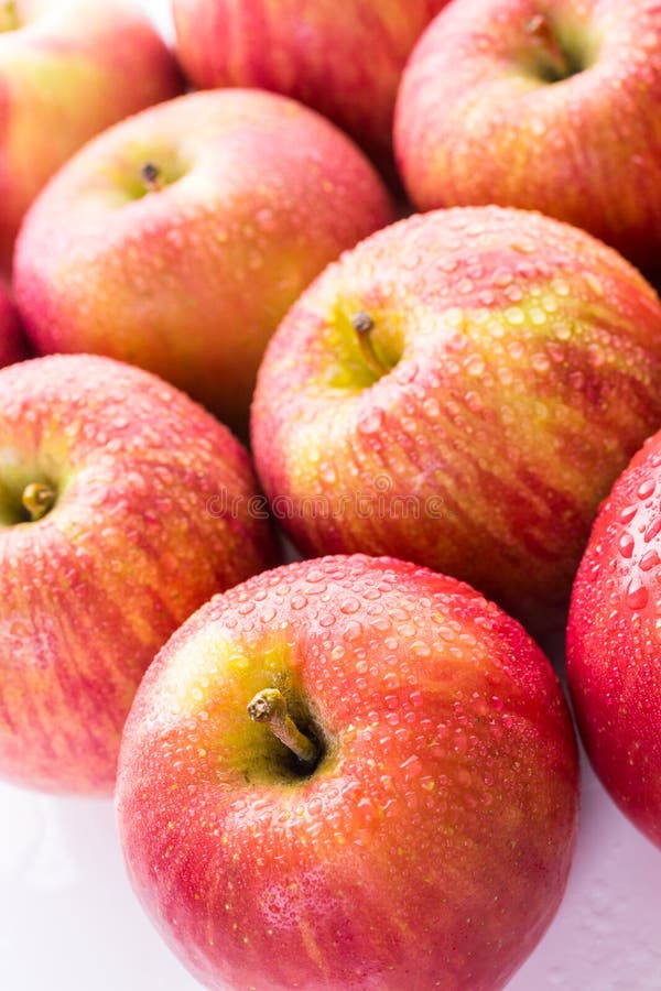 Organic apples stock image. Image of healthy, fuji, plant 59450173