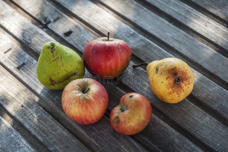 Organic Apples and Pears on the Table Stock Image Image of nutrition