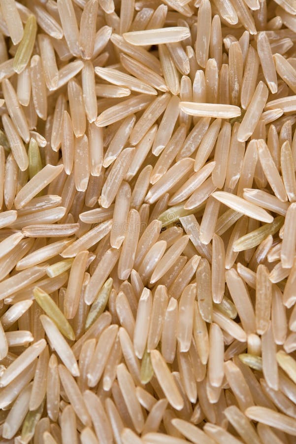 Brown Basmati rice stock photo. Image of cooking, chinese 5825454