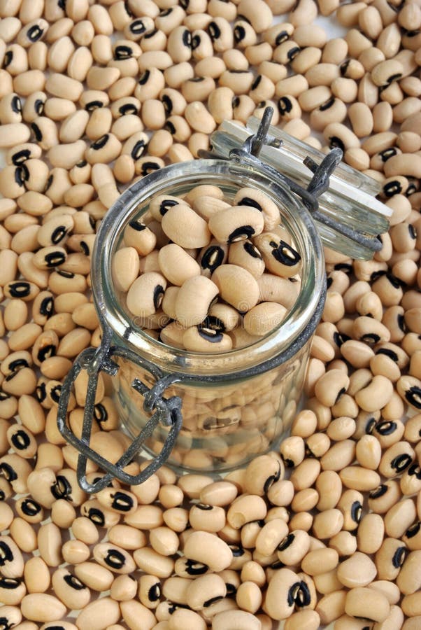 Organic black eyed beans stock photo. Image of tasting 11890916