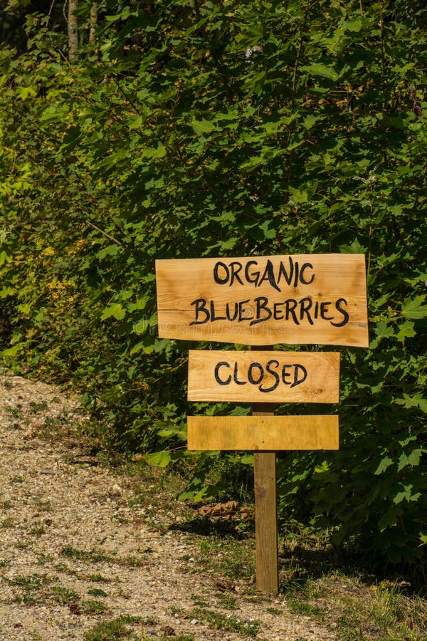 Organic blueberry sign stock image. Image of food, sale 44688725