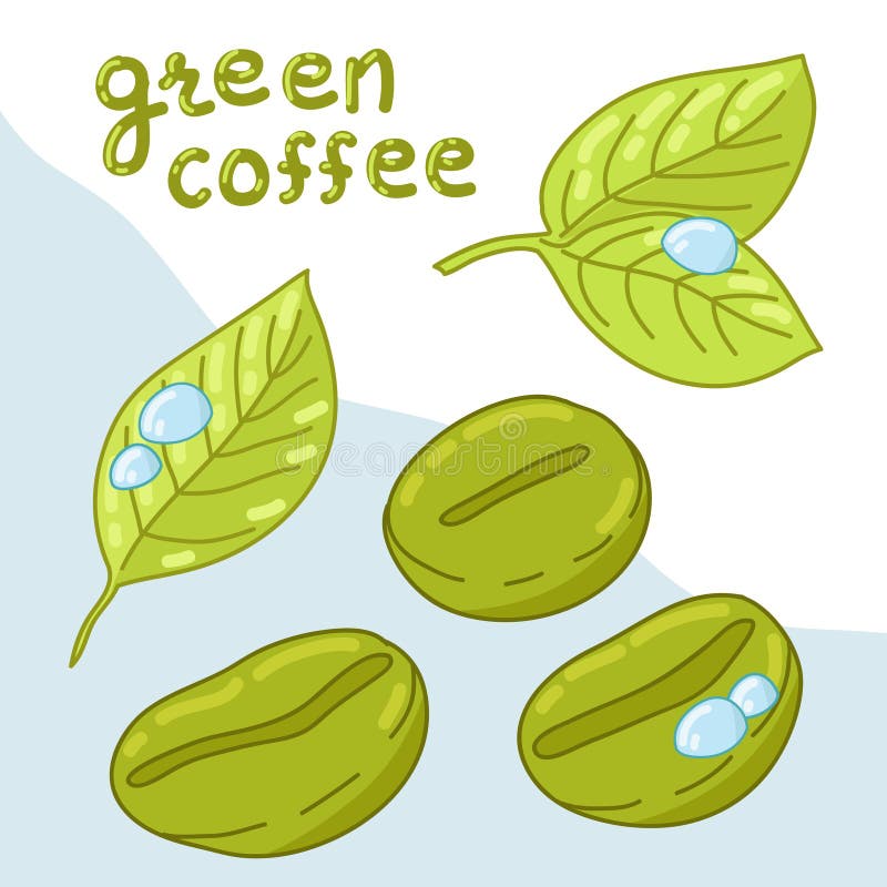 Organic coffee beans stock vector. Illustration of ecology