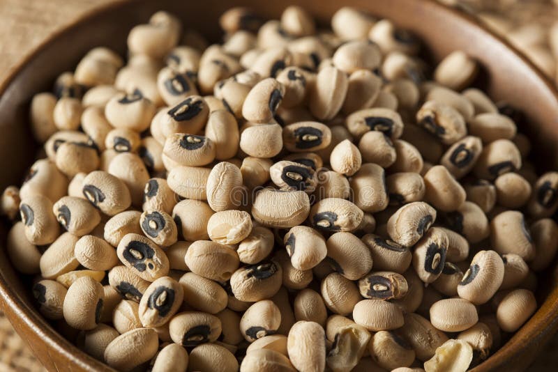 Organic Dry Black Eyed Peas Stock Photo Image of grain, crop 47561076