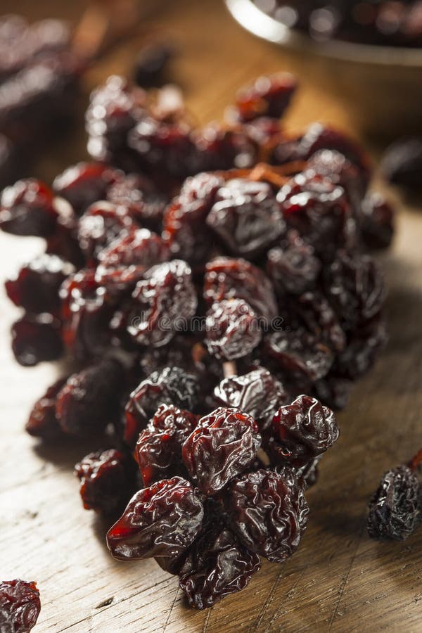 Organic Dry Raisins On The Vine Stock Photo Image of delicious