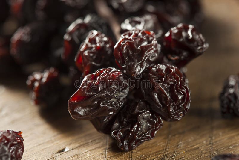 Organic Dry Raisins on the Vine Stock Image Image of gourmet, raisin