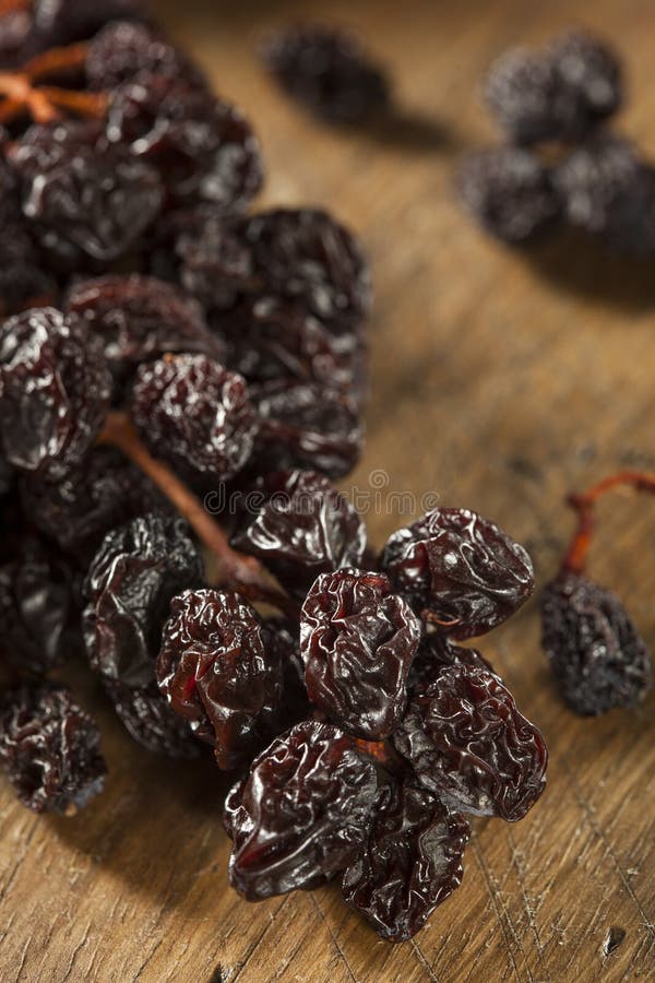 Raisins on the vine stock image. Image of vine, food 44160225