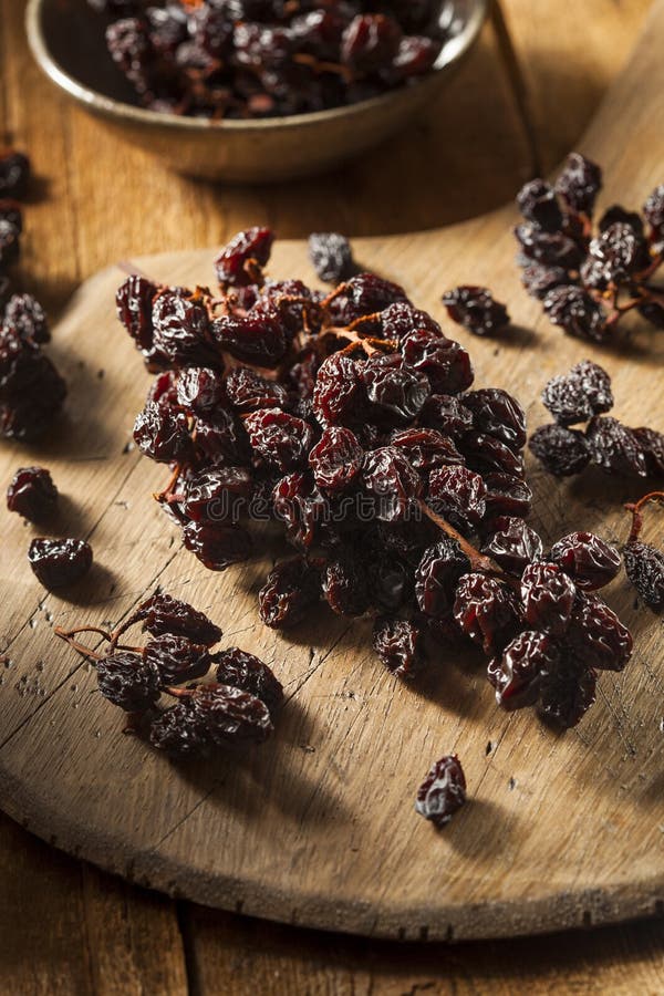 Organic Dry Raisins on the Vine Stock Photo Image of nature, organic
