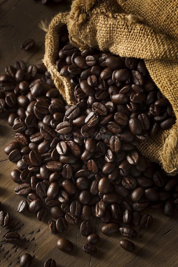 Organic Dry Roasted Coffee Beans Stock Photo Image of brown, tasty