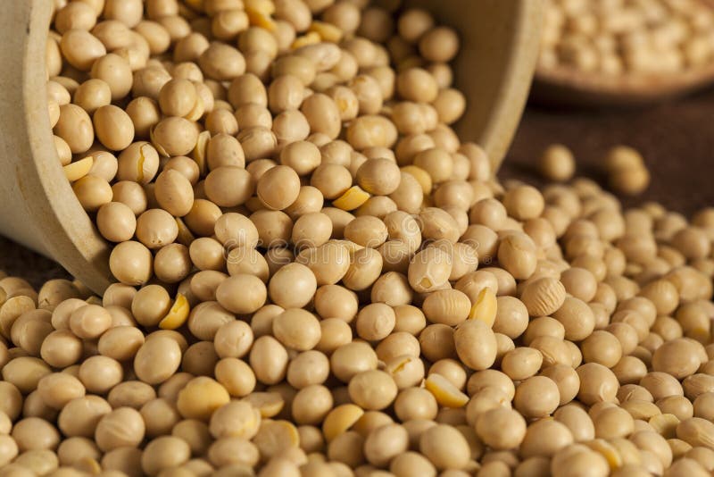 Organic Dry Soy Beans stock image. Image of seed, pile 32391611