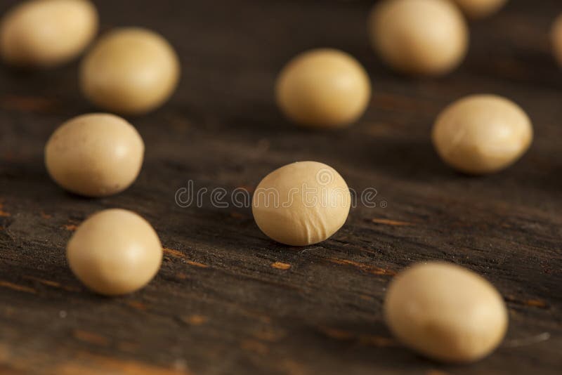 Organic Dry Soy Beans stock image. Image of plant, heap 32393113
